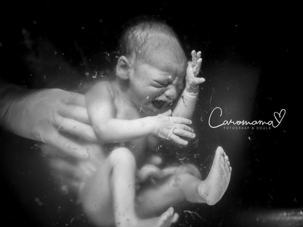 20 самых захватывающих фото родов 20 самых захватывающих фото родов