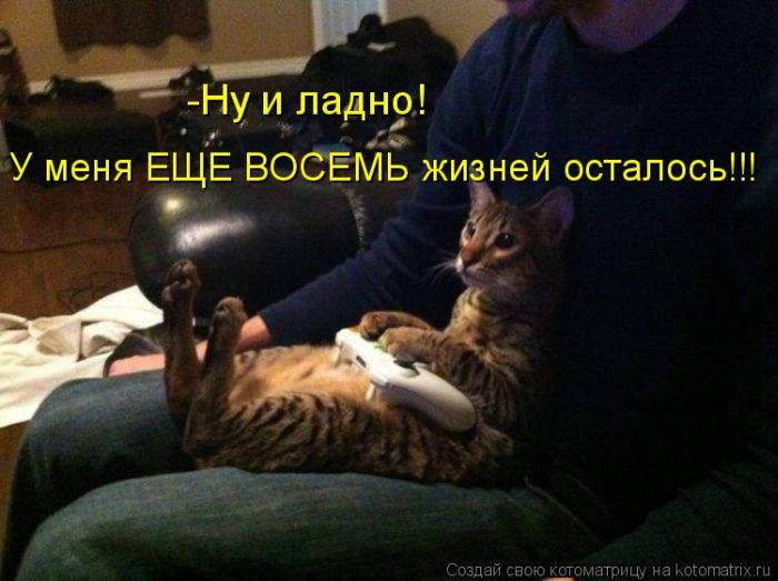 ����������� (49 ����)