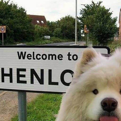 Эти животные поднимут вам настроение в дождливый день Эти животные поднимут вам настроение в дождливый день
