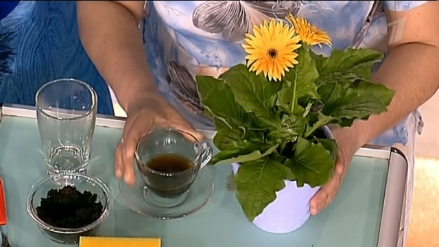 Картинки по запросу чай Удобрение для садовых растений