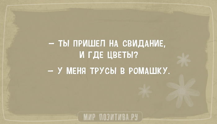 АНЕКДОТЫ + АНЕКДОТЫ +