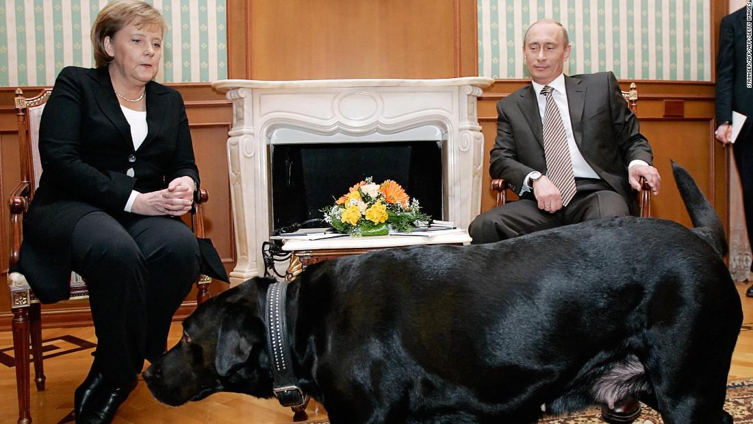 https://360tv.ru/media/uploads/article_images/2019/01/25320_160112113934-merkel-putin-dog-1-super-tease.jpg