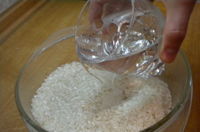 Rice-2 (700x463, 83Kb)