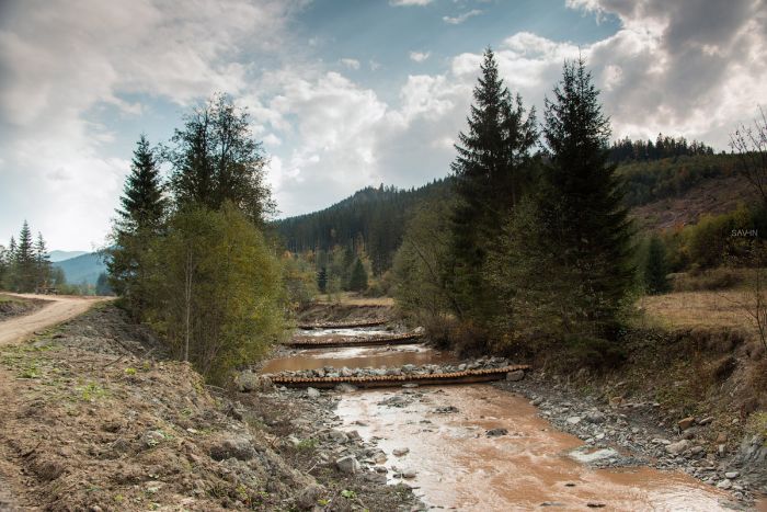 Осень в Крыму и Карпатах (103 фото)