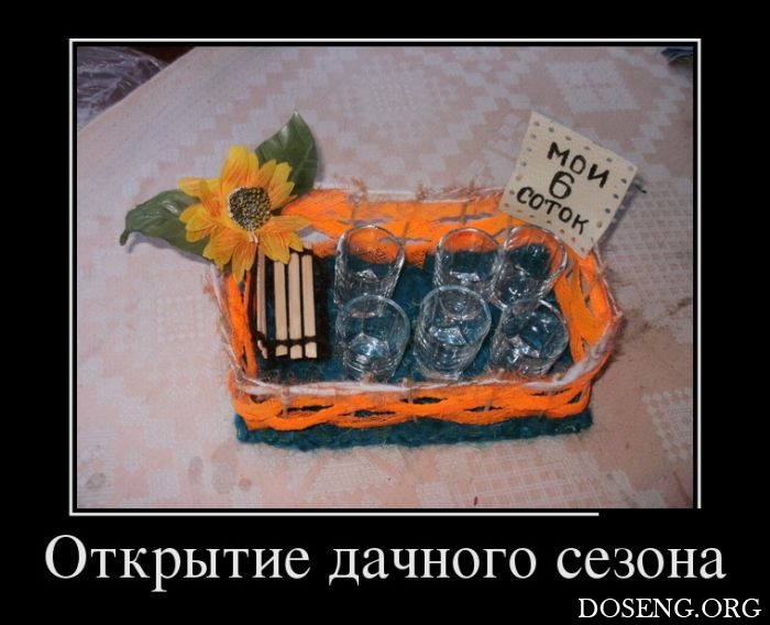 Демотиваторы Демотиваторы