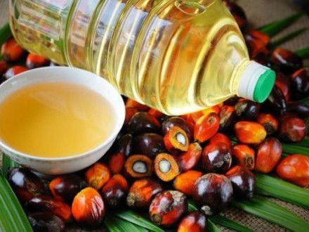 Пальмовое масло: Горькие факты. Начиная детской смесью и заканчивая зубной пастой