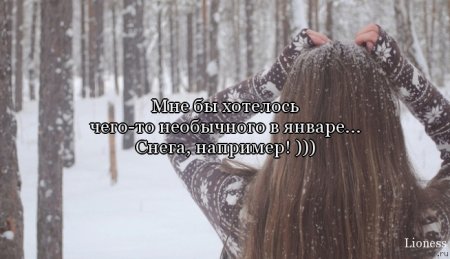 За подснежниками цитаты За подснежниками цитаты