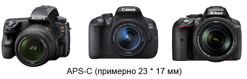 Какой фотоаппарат лучше? Выбор фотоаппарата — 2014