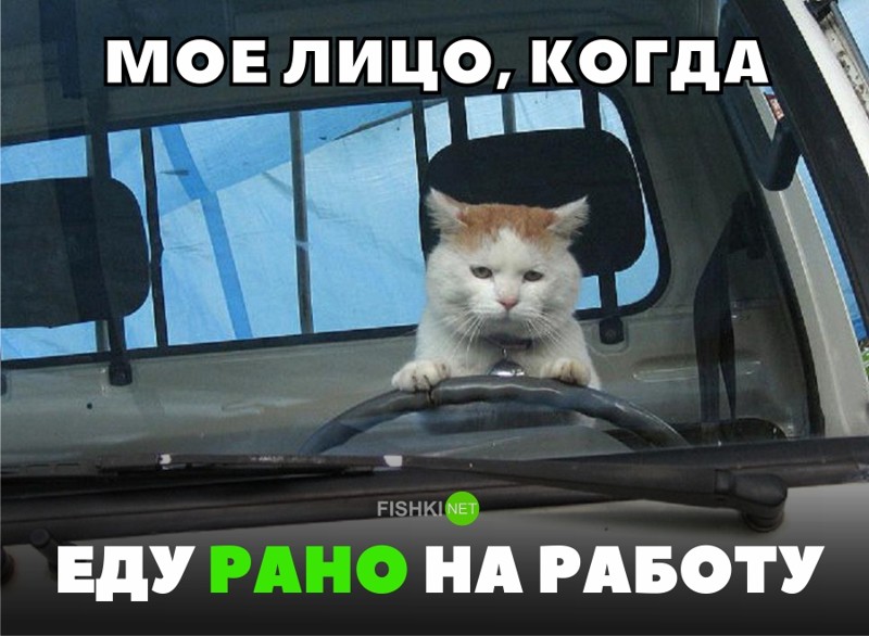 поехал на работу