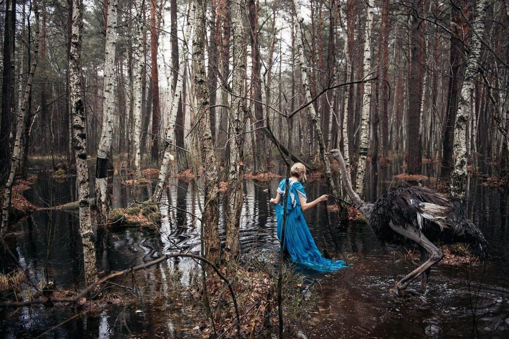 Фотосессия с животными