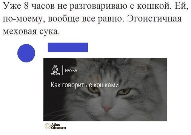 Соцсети жгут! Прикольные, местами жестковатые комментарии от народных юмористов Соцсети жгут! Прикольные, местами жестковатые комментарии от народных юмористов