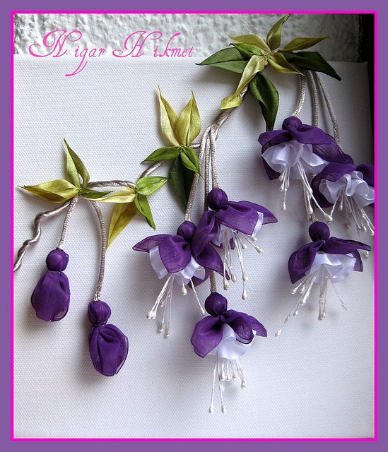 RİBBON FUCHSİA by nigarhikmet, via Flickr