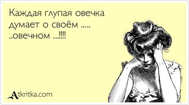 Прикольные Аткрытки №85 (40 картинок) Прикольные Аткрытки №85 (40 картинок)