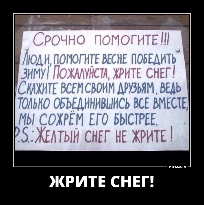 ДЕМОТИВАТОРЫ + ДЕМОТИВАТОРЫ +