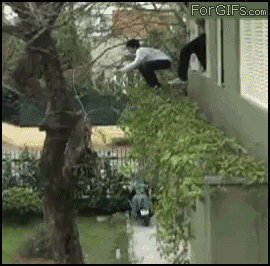 Дерево