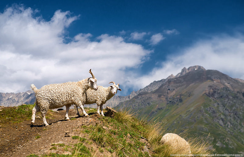Caucasus mountains