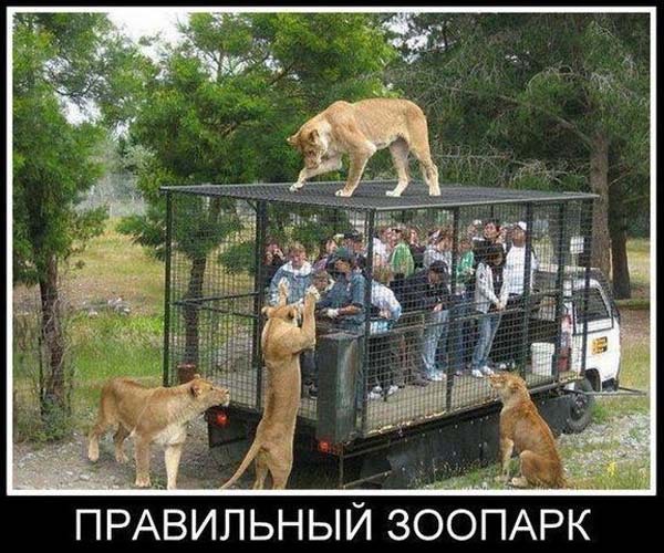 Забавные и веселые демотиваторы для улыбки (12 фото) Забавные и веселые демотиваторы для улыбки (12 фото)