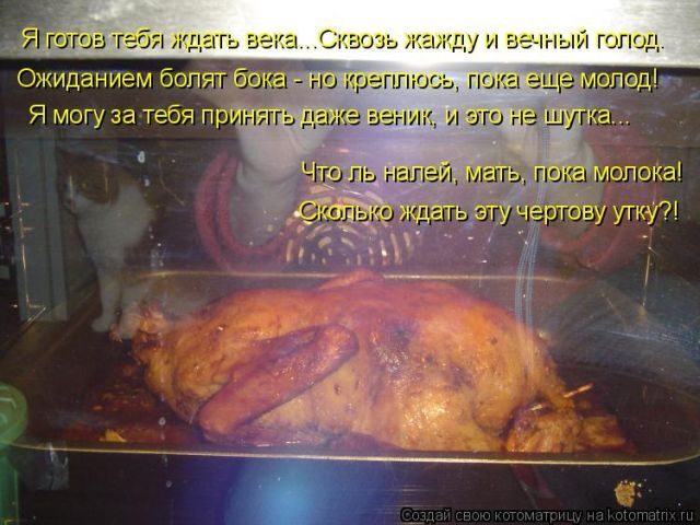 Самые свежие котоматрицы )) Самые свежие котоматрицы ))