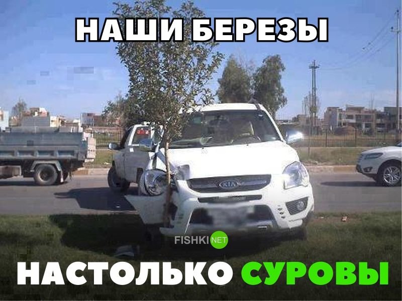Наши березы настолько суровы Наши березы настолько суровы авто, автомобили, автоприкол, автоприколы, подборка, прикол, приколы, юмор