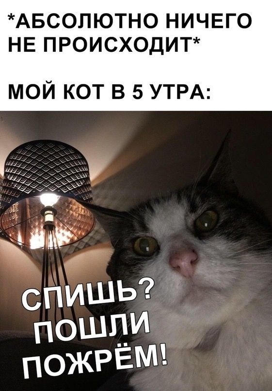 Анекдот про неожиданный вопрос, и еще 20 смешных шуточек