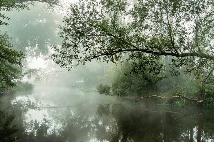 u_reki_foto_06 (700x466, 383Kb)
