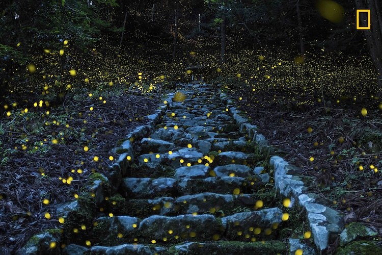 National Geographic Travel Photographer of the Year 