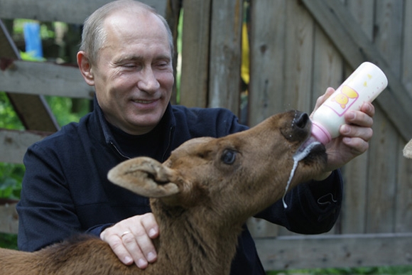 Путин возвращается к внутренней политике: каких перемен ждать стране? Путин возвращается к внутренней политике: каких перемен ждать стране?