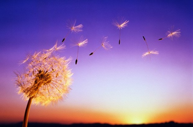 Мудрые фразы о жизни и любви