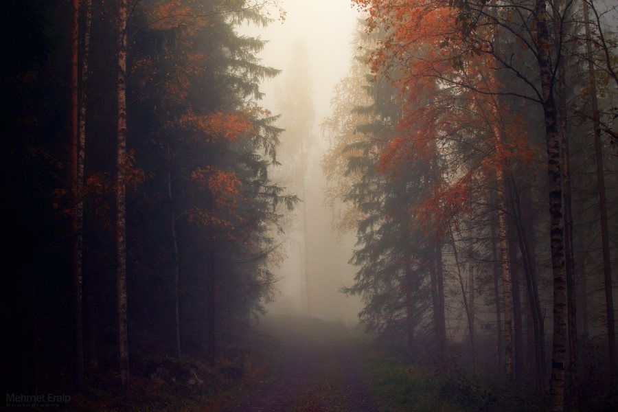 ФОТОВЫСТАВКА. Пейзажи Mehmet Eralp ФОТОВЫСТАВКА. Пейзажи Mehmet Eralp