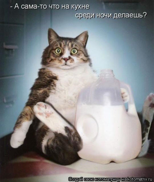 Самые свежие котоматрицы )) Самые свежие котоматрицы ))