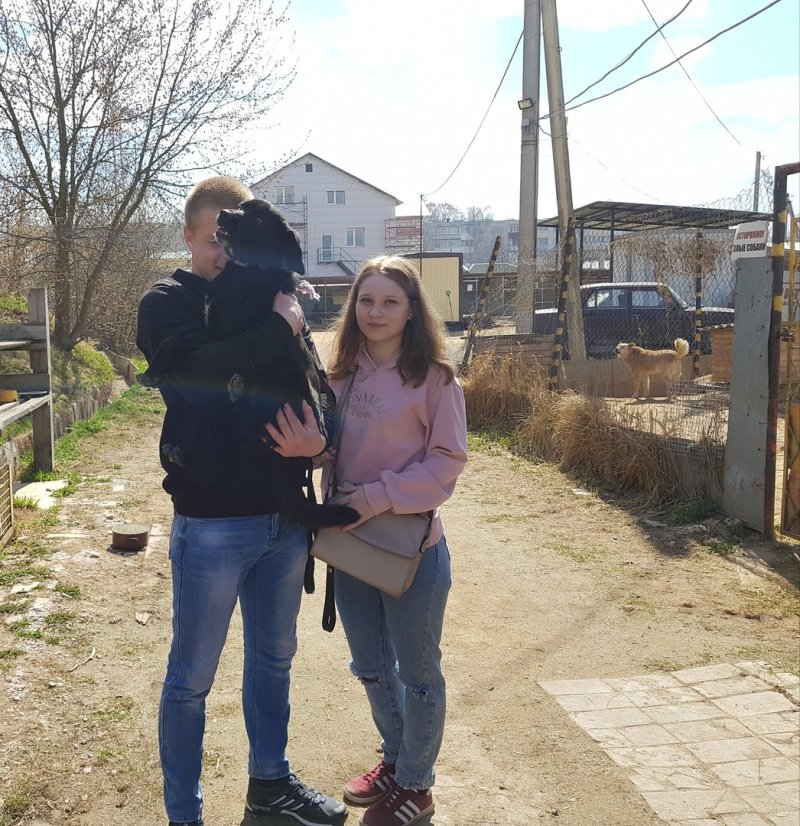 Черная собака просилась в приют, чтобы спастись от пожара Черная собака просилась в приют, чтобы спастись от пожара пес, пожар, собака, черная собака
