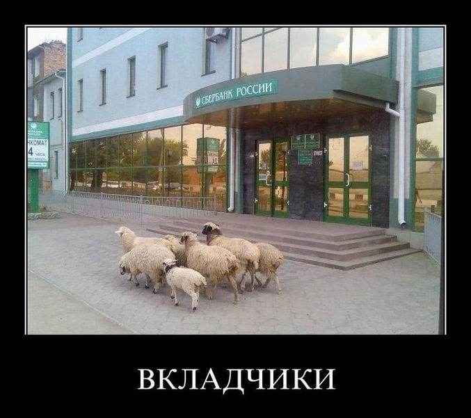 Демотиваторы, правильный фотограф... Демотиваторы, правильный фотограф...