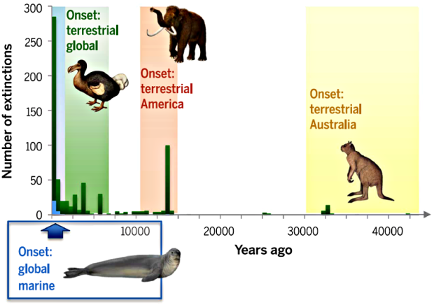 Рисунок 1. Сравнительный хронологический анализ вымерших по вине человека наземных и морских животных. Зеленые полосы соответствуют наземным животным, синие — морским. Рисунок из[2].