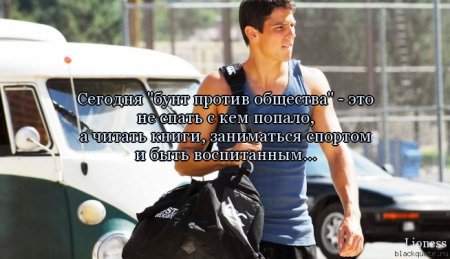 Цитаты, милые цитаты...