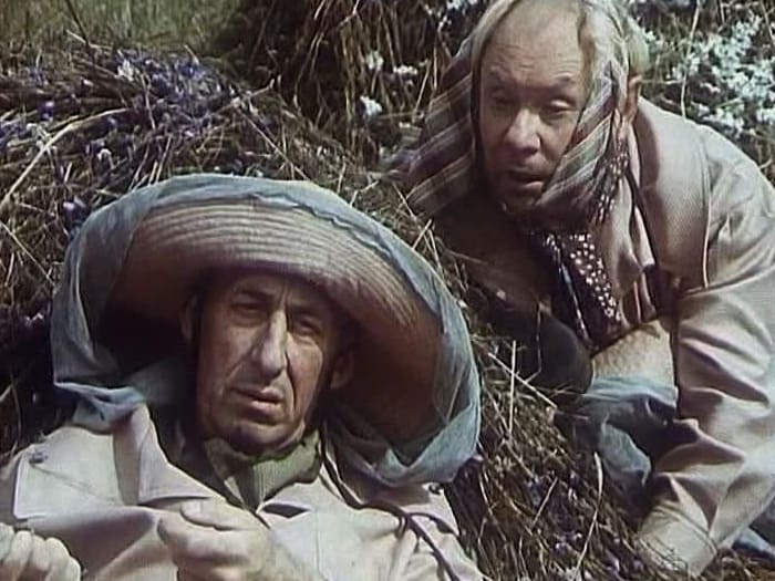    *  *, 1977 | : shkolazhizni.ru