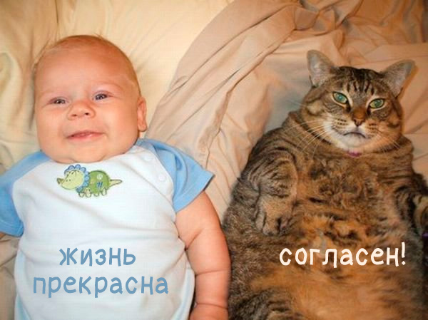 Позитивчик в картинках Позитивчик в картинках