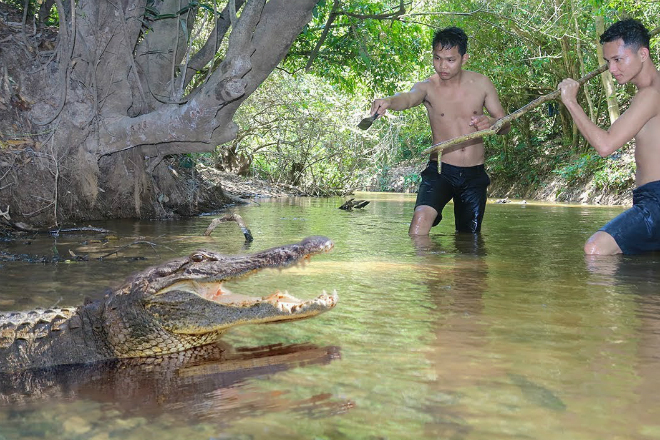 Как поймать и сьесть крокодила