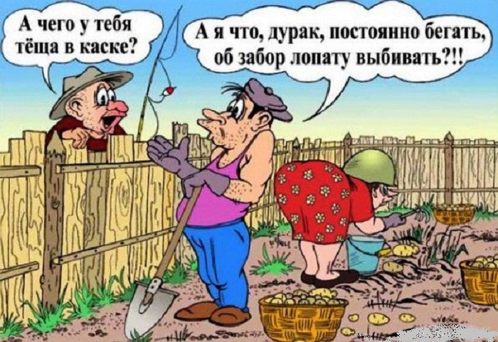 О даче с юмором. О даче с юмором.