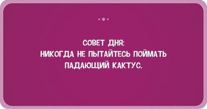 28 жизненных открыток-адреналинок, которые 100% вас порадуют 28 жизненных открыток-адреналинок, которые 100% вас порадуют