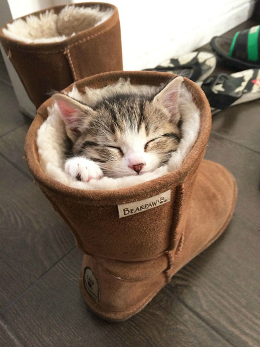 Как герой из сказки. | Фото: mafffkowski.tumblr.com. Как герой из сказки. | Фото: mafffkowski.tumblr.com.