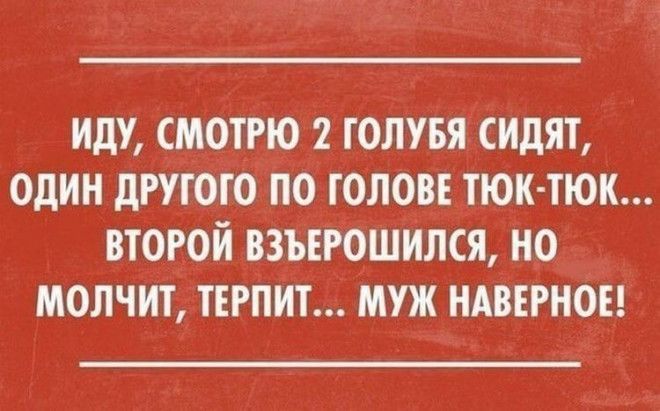 18 лучших саркастических открыток 18 лучших саркастических открыток