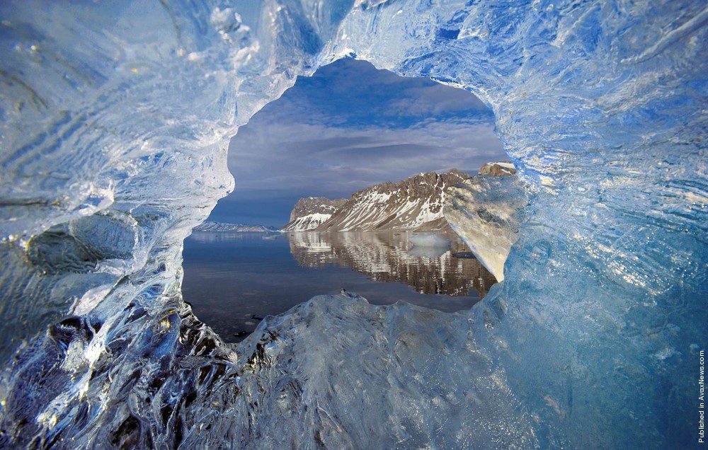 Polar Tales By Paul Nicklen. Part I