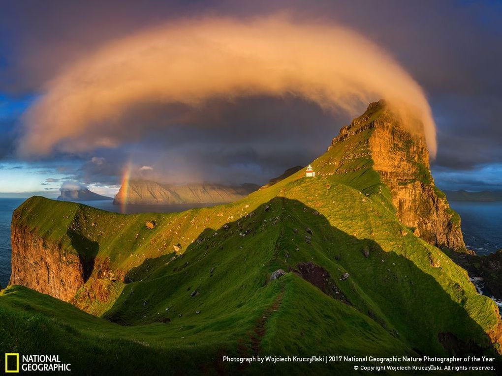 33 fotos, que a revista National Geographic chamou as melhores fotos de vida selvagem de 2017