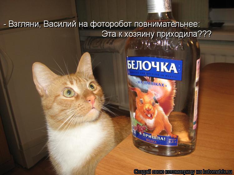  - - ,    :    