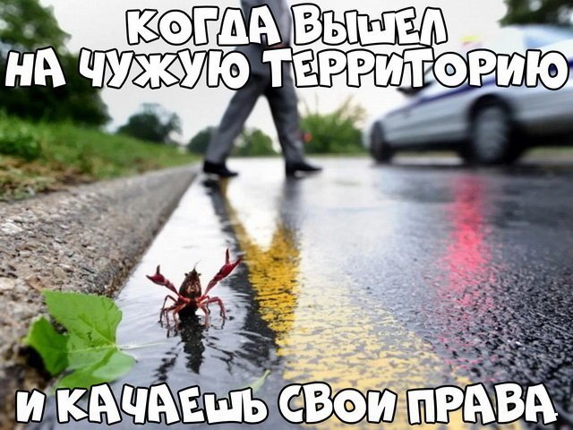 Автовсячина Автовсячина Автовсячина, авто, автомобиль, автоприкол, машина, прикол