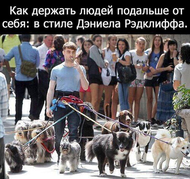 Немного юмора Немного юмора