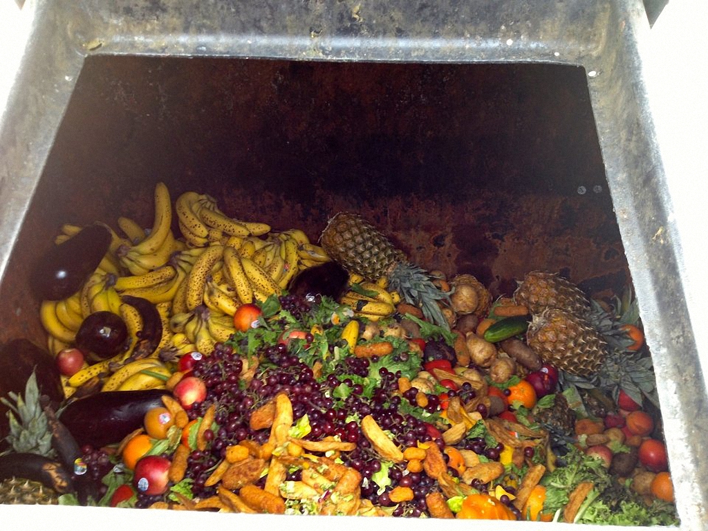  Мусорная инициатива или еда из мусорного бака