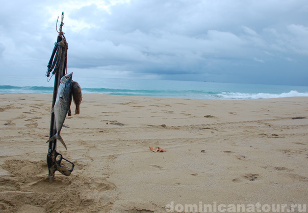 фото доминиканы