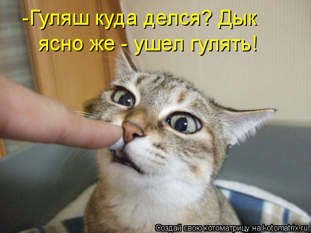 И снова котоматрица!!! И снова котоматрица!!!