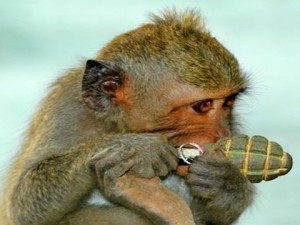 ff263bdace06d995f4595ba0d69549d5_d67dccae13d5664b5d9b54d0f6d698ee